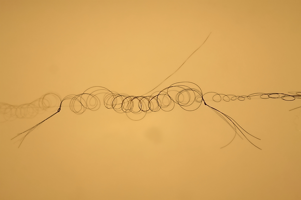 2013 08 03 HTP 01213 